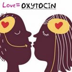 Hormon Oxytocin – hormon lásky – jak funguje?